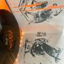Pixies - Indie Cindy (plus CD) Image 4