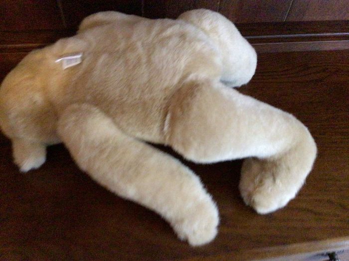 North American bear company family of bears Collectable