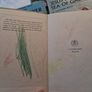 4 X 1950's Ladybird books Image 3