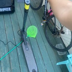 electric scooter