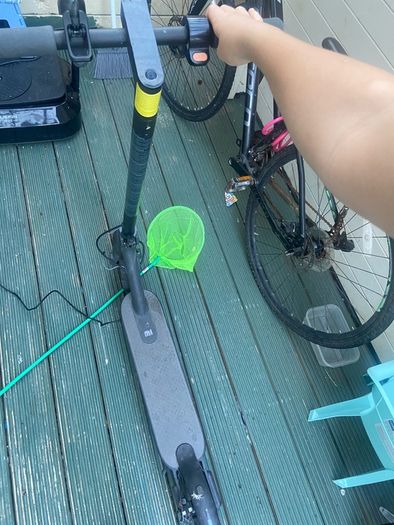 electric scooter