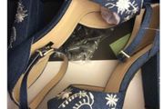 New Quiz Denim Embroidery Block Heels