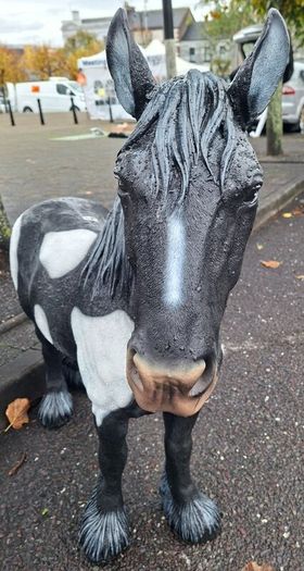 Big Christmas Price Drop for Religious Statues And Our Animal Selection From Now Until Christmas Collected From Dungarvan Co Waterford.