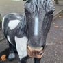 Life sized Animals & Religious Statues Image 2
