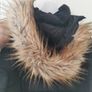 Superdry Winter coat, size 10 / EU 38 Image 3