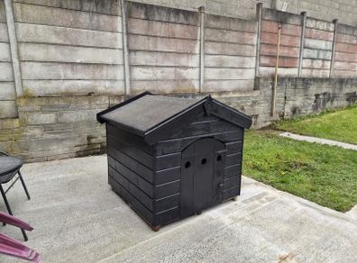 dog box