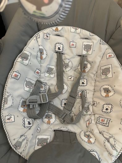 Joie Serina 2-in-1 Swing Portrait in grey