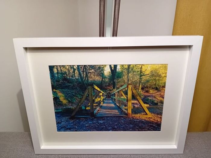 Glenbower Woods