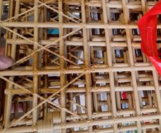 WWE Punjabi Prison Cage