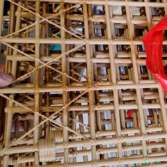 WWE Punjabi Prison Cage