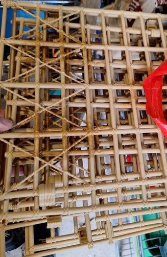WWE Punjabi Prison Cage