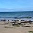 LouRosslare