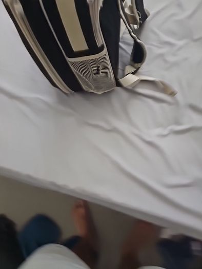 Picnic cooler backpack