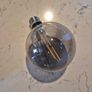 Bulbs Image 3