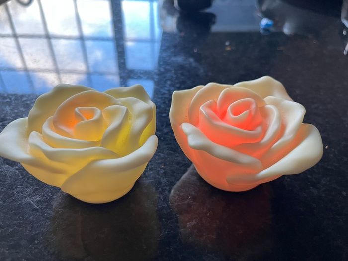 2 Multi Changing Battery Roses