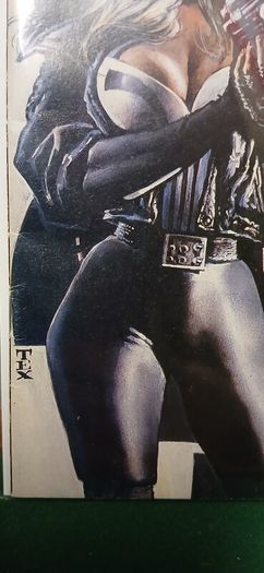 Punisher War Journal #75 1st Lynn Michaels as New Punisher Rare/Low Print Run