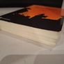 SALE!  REMITTANCES Development Impact and Future Prospects Image 4