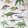 Brand new Dinosaur Bundle (around 20 items) Image 4
