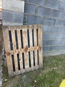 Wooden Pallet
