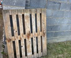 Wooden Pallet