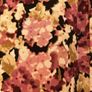 Ladies Pink Floral Blouse Image 2