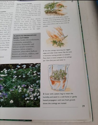 New Geoff Hamiltond year in your garden book