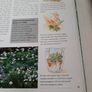 New Geoff Hamiltond year in your garden book Image 10