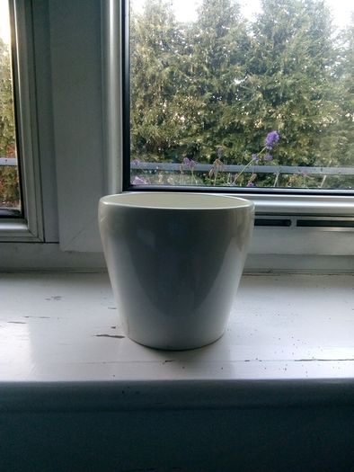 Beautiful white and gold pottery plant pot