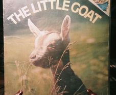 1978. The Little Goat. Judy Dunn