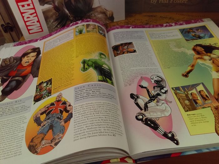 The DC Comics Encyclopedia ! The Definitive Guide To The Characters Of The DC Universe ! Beautiful Hardback !
