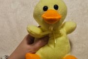 Small Yellow Fluffy Duck