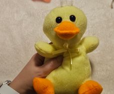 Small Yellow Fluffy Duck