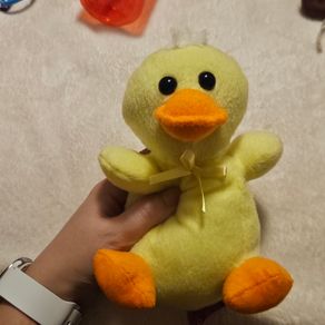 Small Yellow Fluffy Duck
