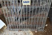 Dog cage