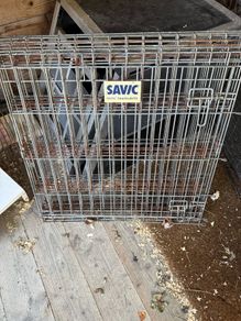 Dog cage