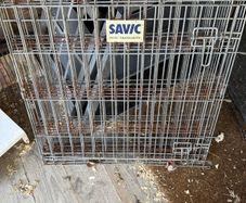 Dog cage