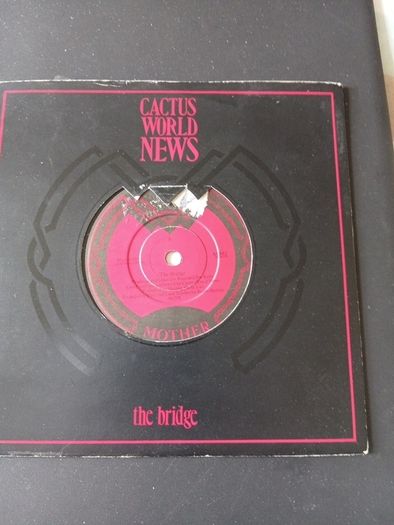 Bundle Of 20  X  7" Vinyl Singles ( All Irish Rock /indie)