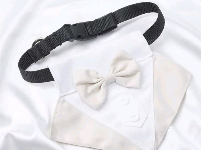 Dog wedding/event bandanas