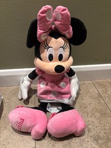 Minnie Mouse personalised teddy Eabha