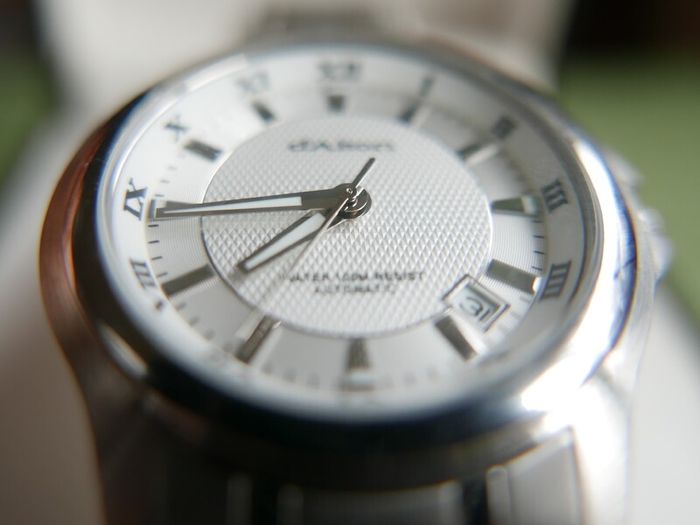 Gents D'Alton AUTOMATIC Water 100M Resist Watch