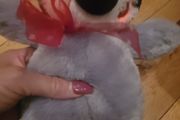 Arora Kissing Blushing Penguin Soft Plush Toy &amp; Gift Bag