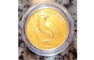 San Marino 10 Euro Gold (.9999) Brilliant Uncirculated Coin 2025 - Falco Pellegrino