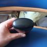 Formula 1 Williams/Winfield glasses case Image 3