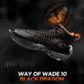 Way Of Wade 10 - Black Dragon (Basketball Shoes) Image 5