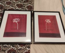 Punjab Poppy - Two Prints in frames 21 inches by 25 inches