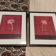 Punjab Poppy - Two Prints in frames 21 inches by 25 inches