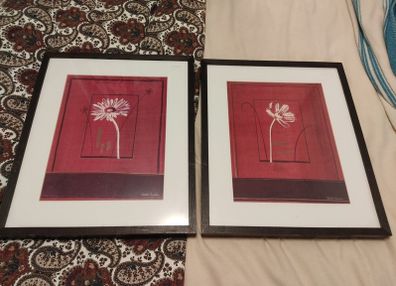 Punjab Poppy - Two Prints in frames 21 inches by 25 inches
