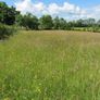 17 Silage Bales remaining for quick sale Image 3