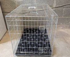 Dog Cage