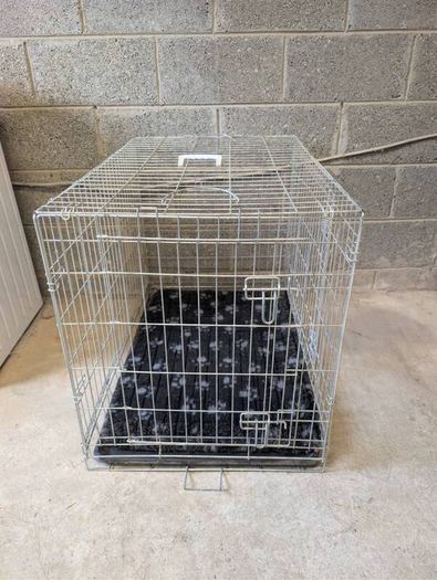 Dog Cage